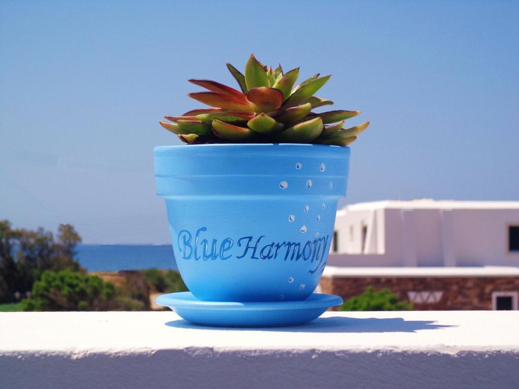 Blue Harmony Apartments Plaka  Bagian luar foto